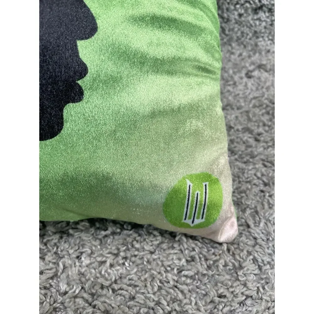 Wicked The Movie Born Wicked Elphaba Green Witch Decorative Throw Pillow 16
